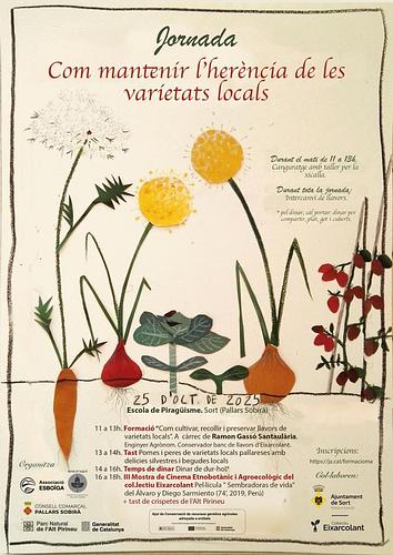 🌾 Jornada plena de coneixement, intercanvi i cultura agroecològica: *Com mantenir l’herència de les varietats locals* 🌿

📅 25 d’octubre de 2025
📍 Escola de Piragüisme, Sort (Pallars Sobirà)

🧑‍🌾 Formació de 11 a 13h amb Ramon Gassó Santalària, enginyer agrònom i conservador de bancs de llavors: Vols aprendre com conservar, recollir i preservar les llavors de les varietats locals? 🌱

🍏 Tast de pomes, peres i delícies silvestres del Pallars de 13 a 14h.

🥗 14 a 16h Temps per dinar. 
Opció *Dinar de dur-ho*: (Porta dinar , plat, got i coberts).

🎬 III Mostra de Cinema Etnobotànic i Agroecològic amb el Col·lectiu Eixarcolant 
"Sembradoras de vida" + tast de crispetes de l’Alt Pirineu de 16 a 18h.

🤹🏾‍♀️ Durant el matí: servei de canguratge amb taller per la xicalla

🌼 Durant tot el dia: intercanvi de llavors i converses

🔗 Inscripcions: ja.cat/formacioma

Pots inscriure't a tota la jornada o activitats concretes.

Salut, diversitat cultivada i soberania!🌱